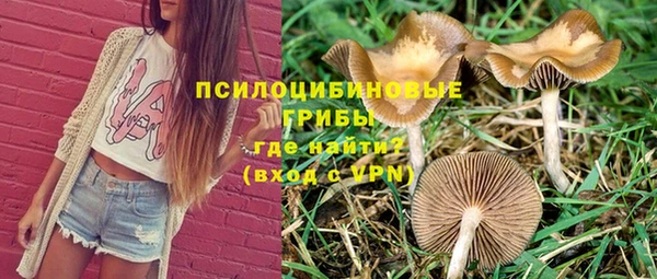спайс Кукмор