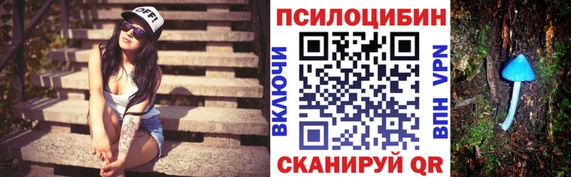 Галлюциногенные грибы Psilocybe  цена   Мураши 